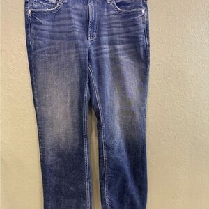 Silver Jeans Men's Straight Blue Denim